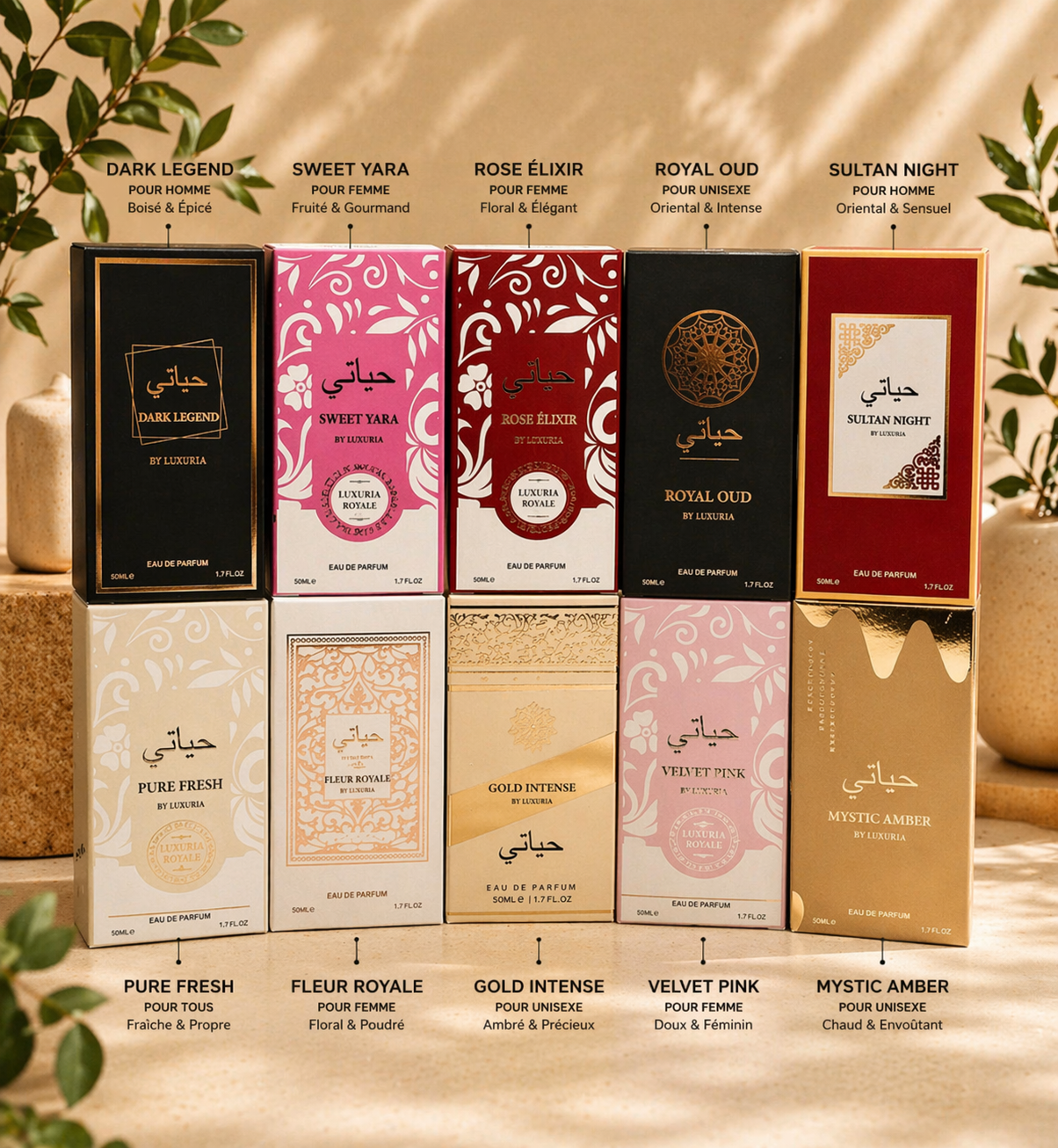 Parfums femme & homme 50ml – Senteurs luxe à petit prix 3,99€