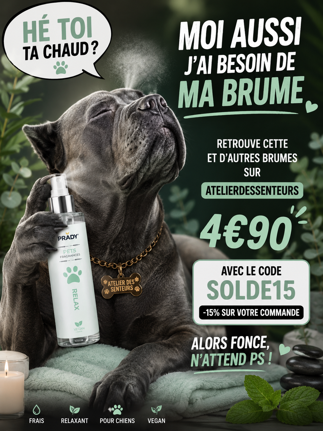 Brumes Parfumées pour Chiens – Fraise, Relax & Fresh | Atelier des Senteurs