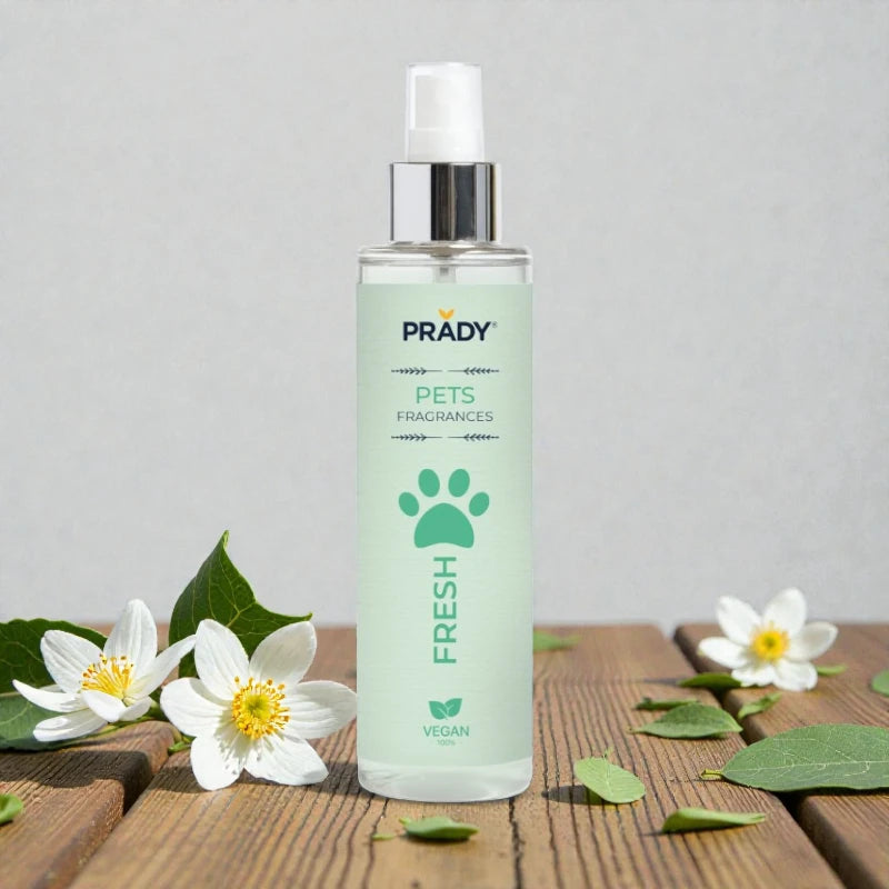 🐶✨ Parfum pour chien PRADY – Précommande ouverte