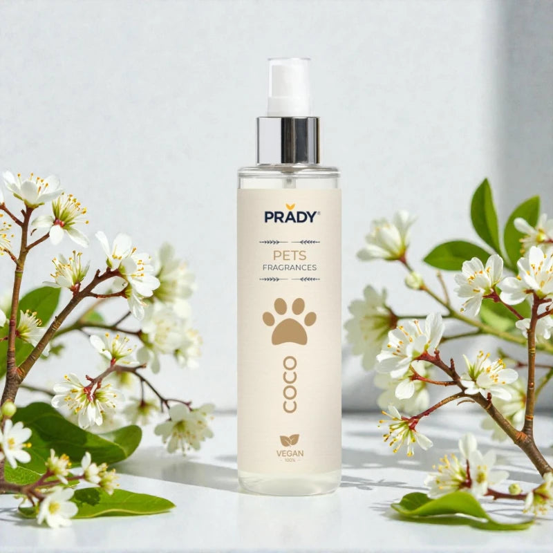 🐶✨ Parfum pour chien PRADY – Précommande ouverte